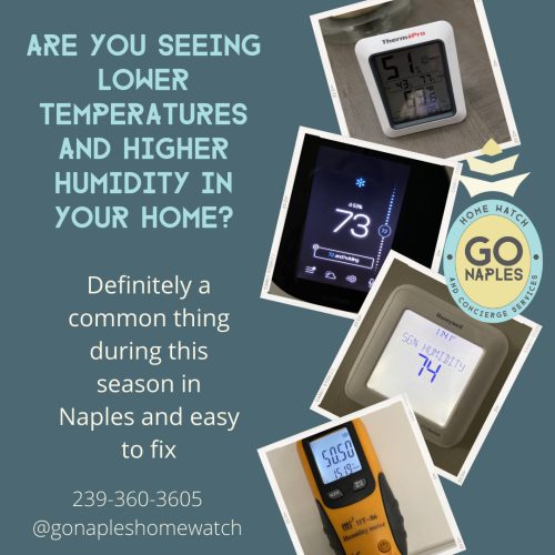 Are Moisture Absorbers Worth It?