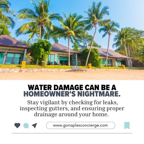 How to Beat the Florida Winter Humidity