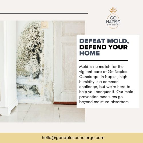 How to Escape Mold Month in South Florida